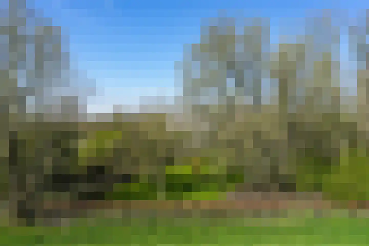 Duffeltdijk 9 Kekerdom thumbnail 5