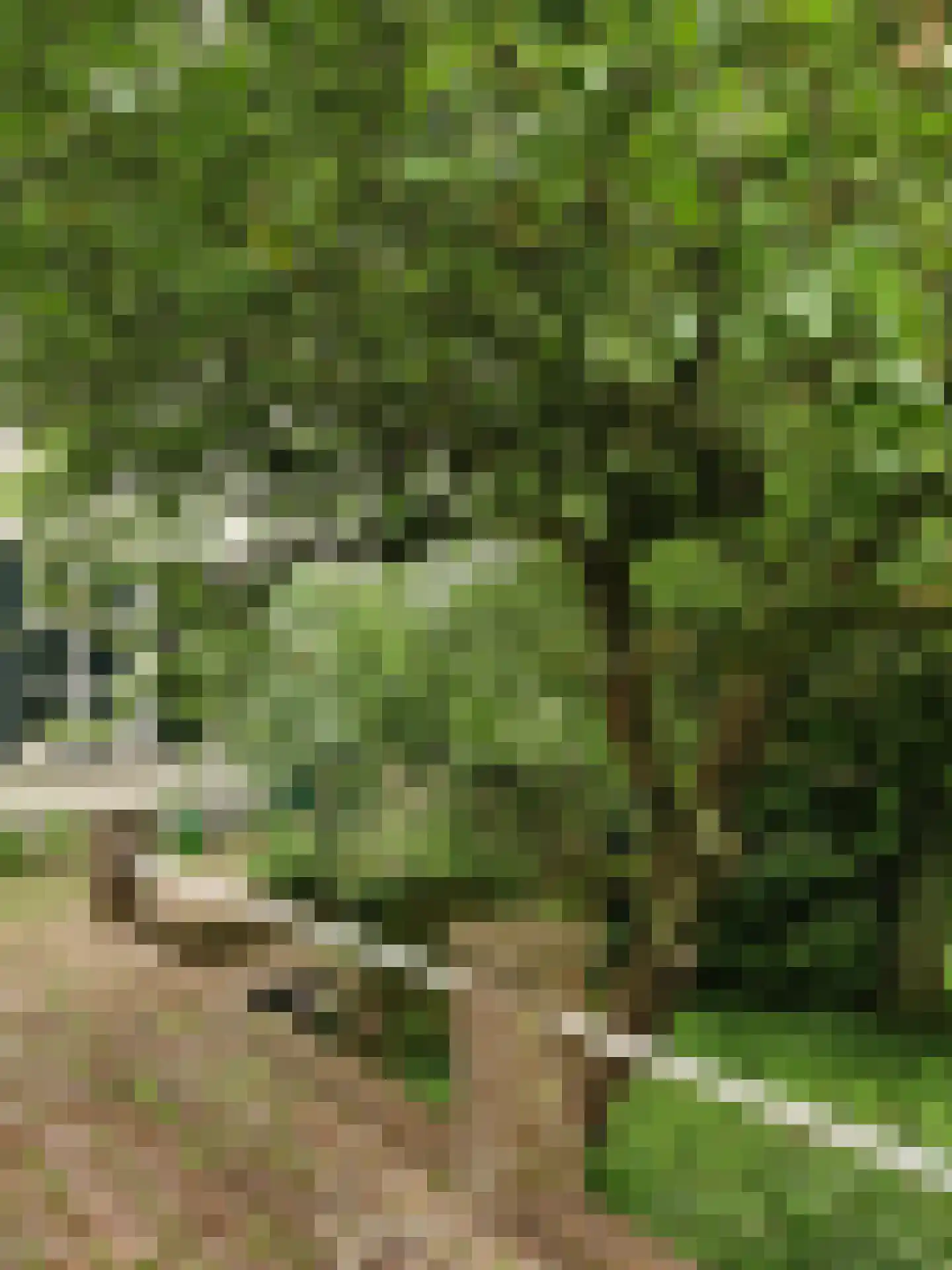 Duffeltdijk 9 Kekerdom thumbnail 62