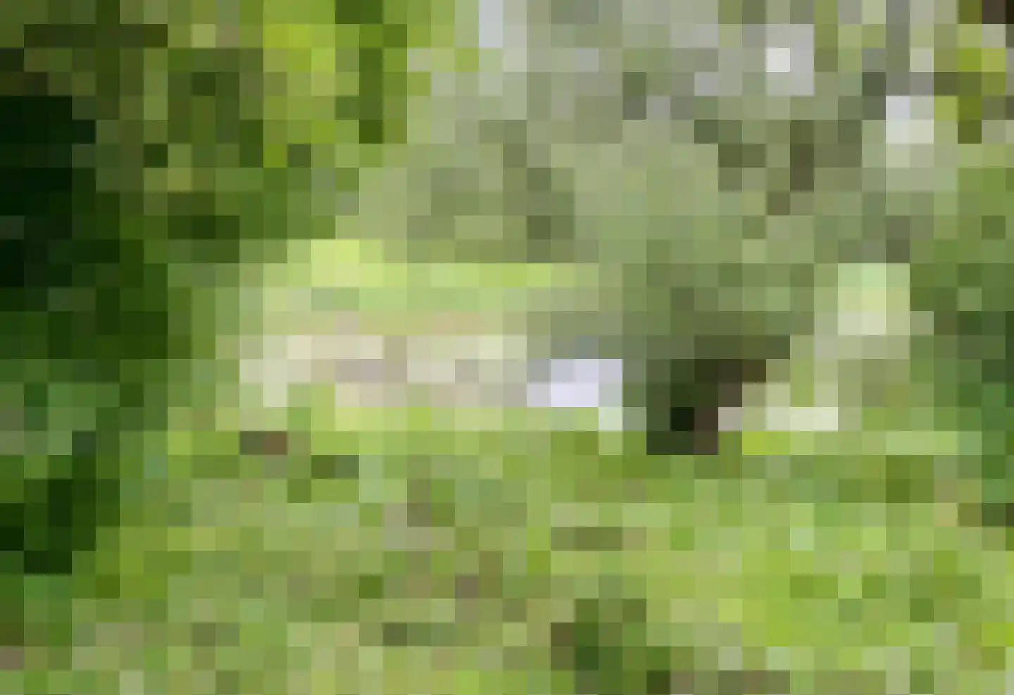 Duffeltdijk 9 Kekerdom thumbnail 63
