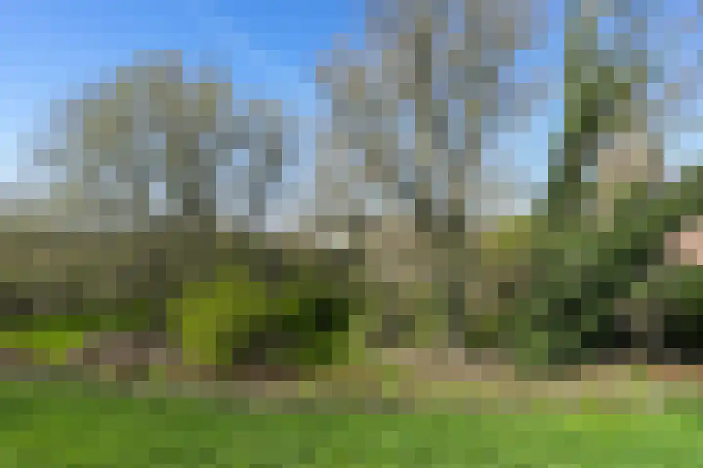 Duffeltdijk 9 Kekerdom thumbnail 6