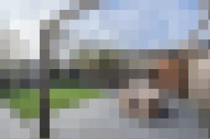 Duffelweg 15 Ouddorp thumbnail 40