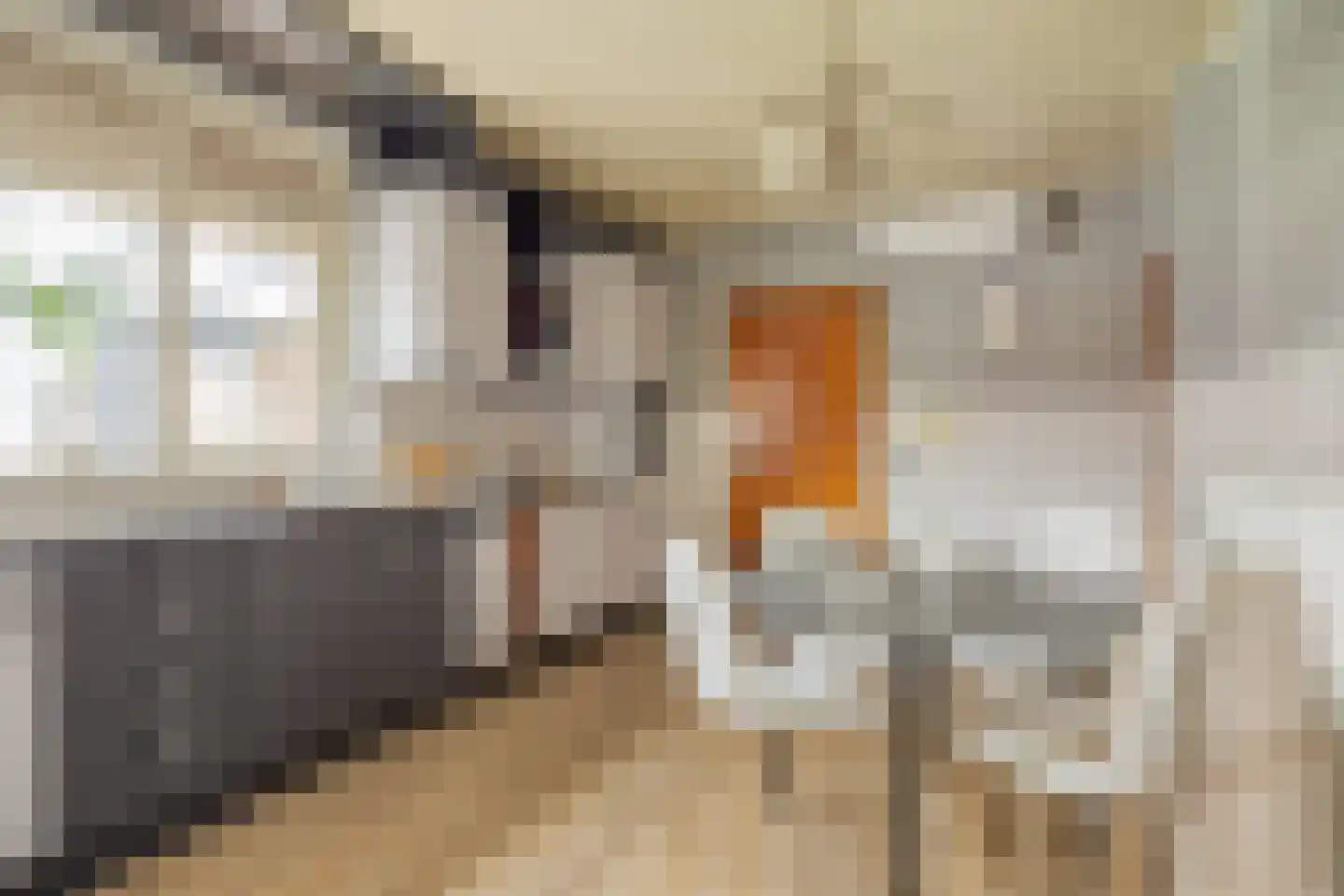 Duifhuis 11 Berlicum thumbnail 12