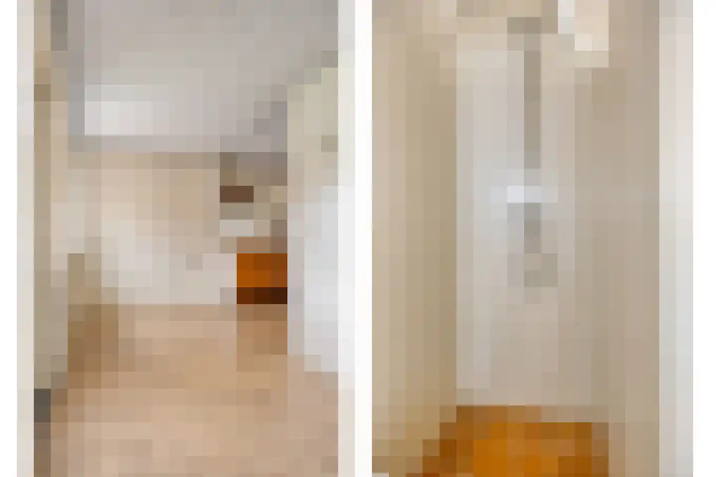 Duifhuis 11 Berlicum thumbnail 17