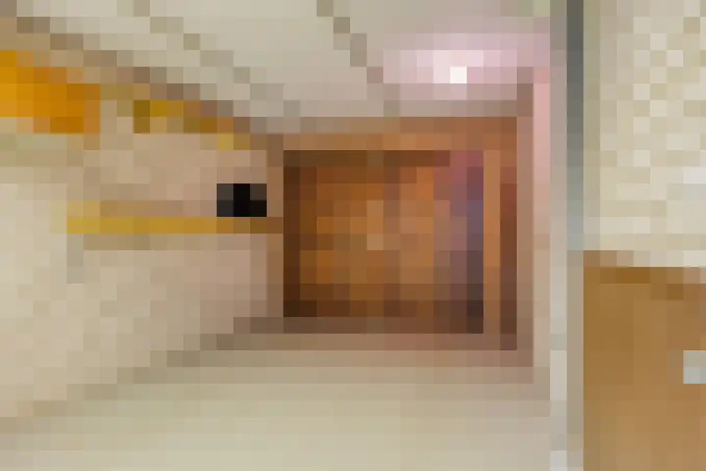Duifhuis 11 Berlicum thumbnail 18