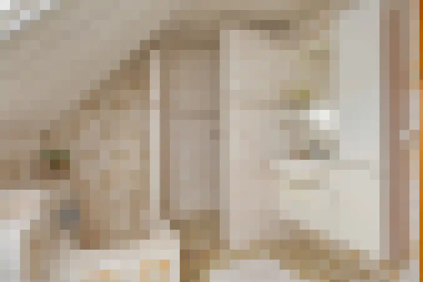 Duifhuis 11 Berlicum thumbnail 22