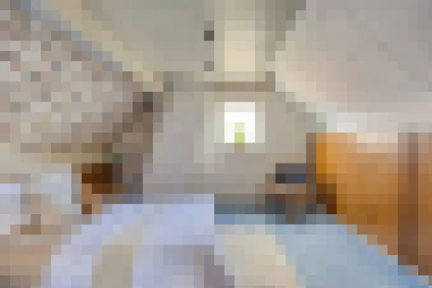 Duifhuis 11 Berlicum thumbnail 31
