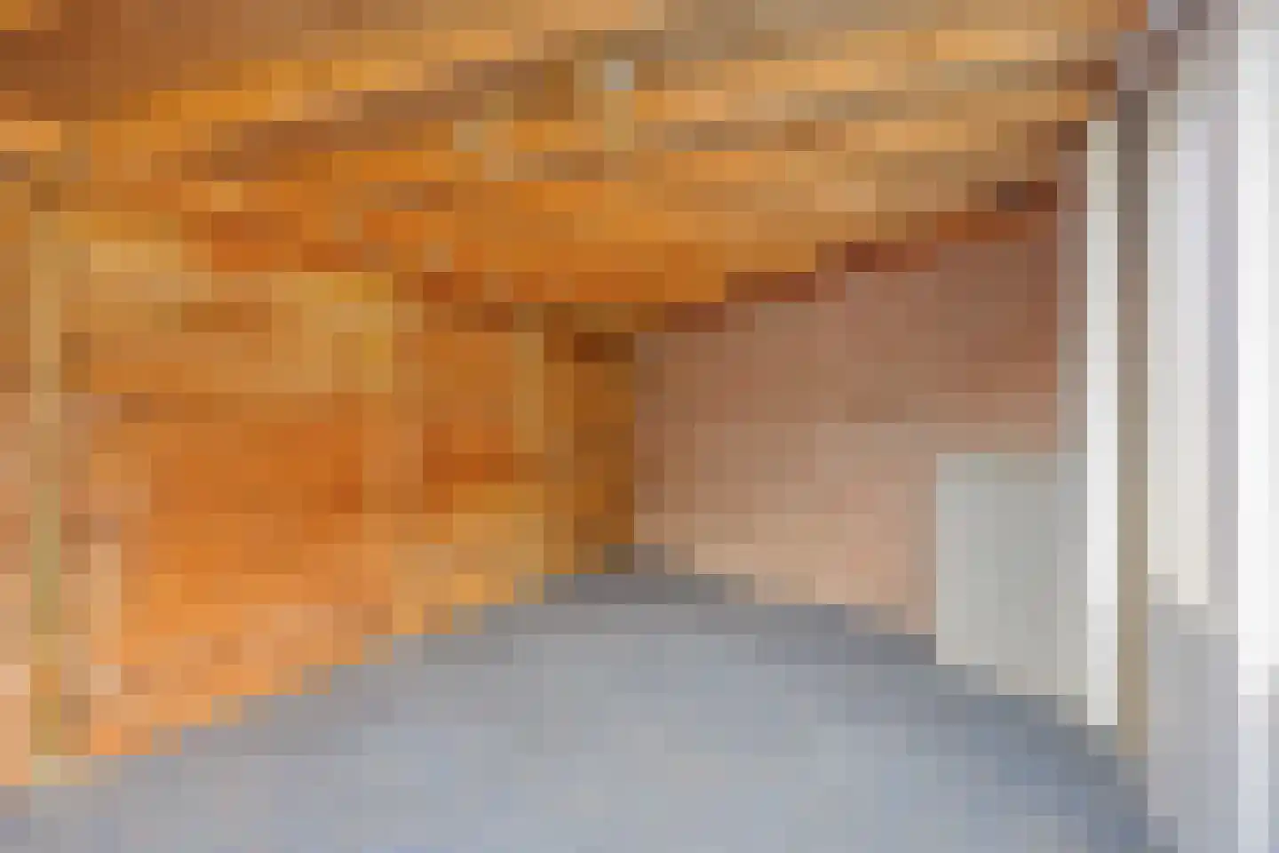 Duifhuis 11 Berlicum thumbnail 37