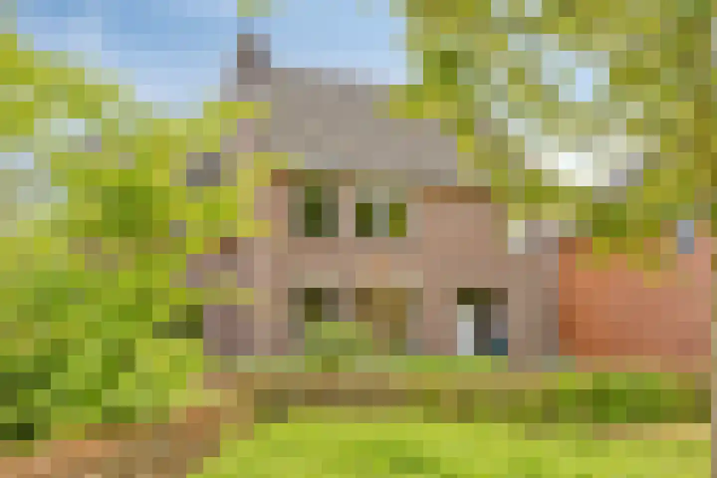Duifhuis 11 Berlicum thumbnail 40
