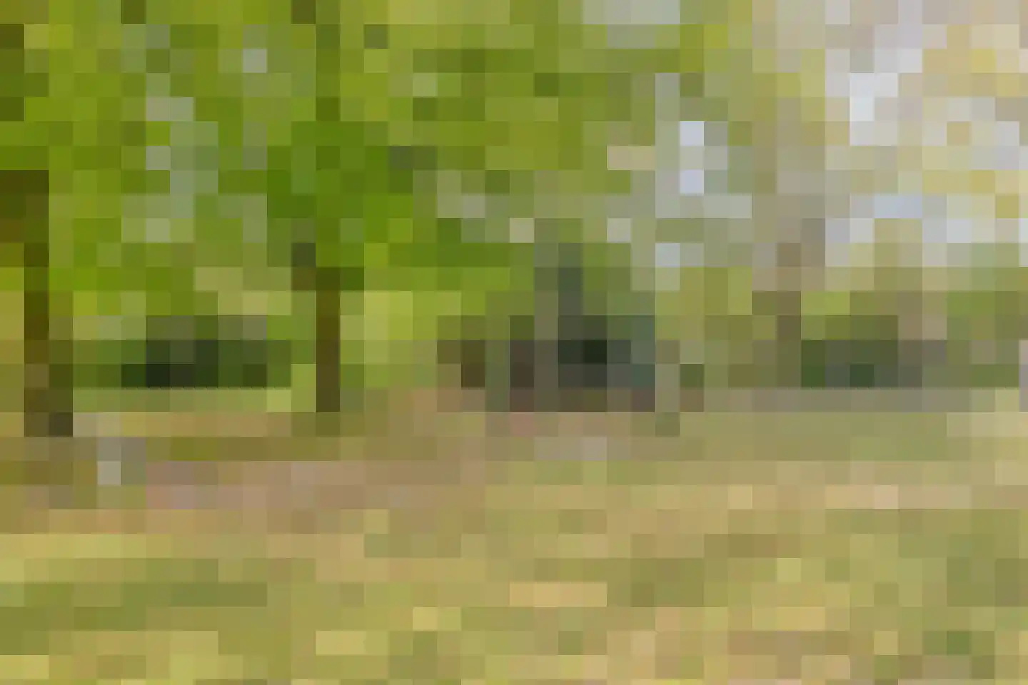 Duifhuis 11 Berlicum thumbnail 44