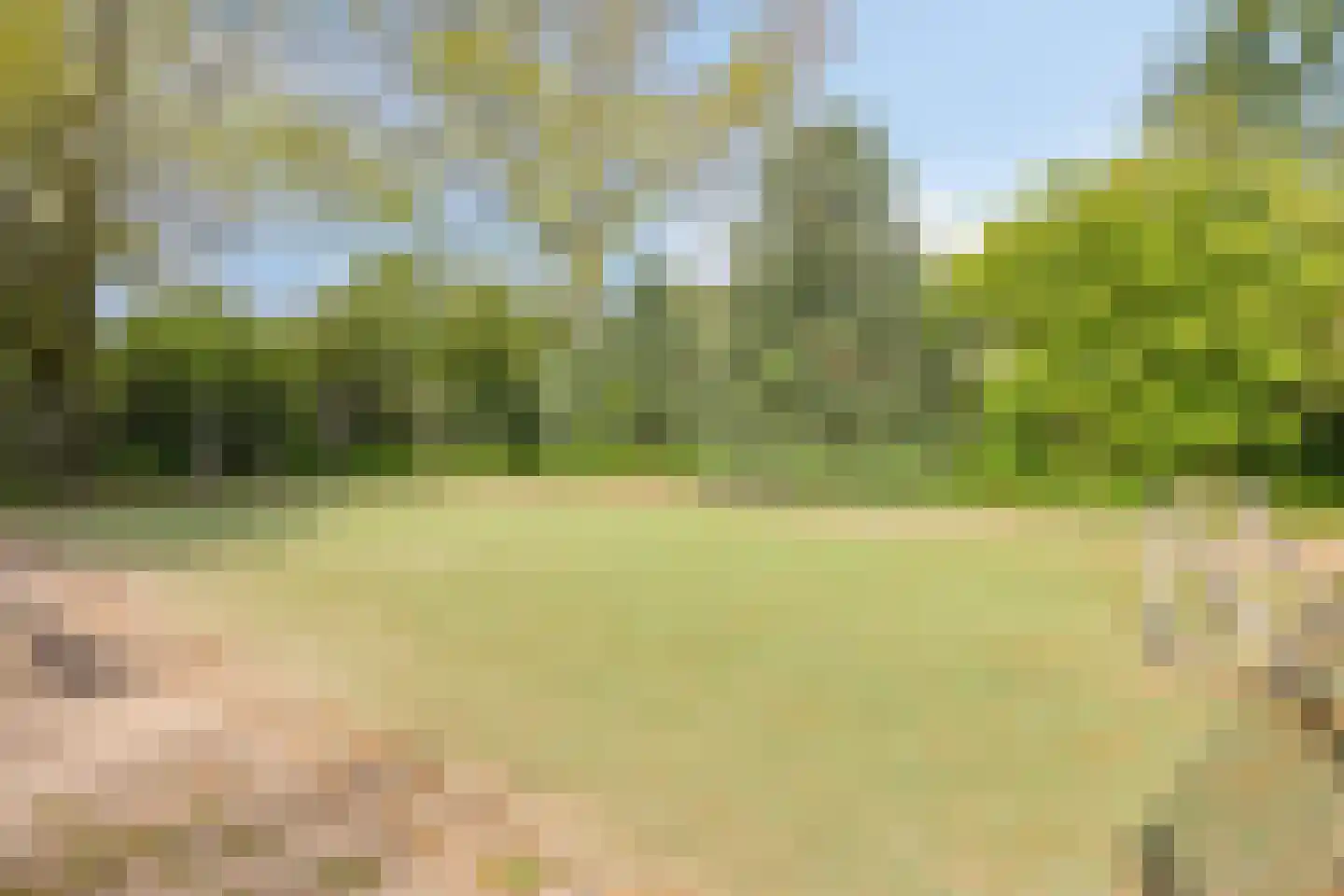 Duifhuis 11 Berlicum thumbnail 45