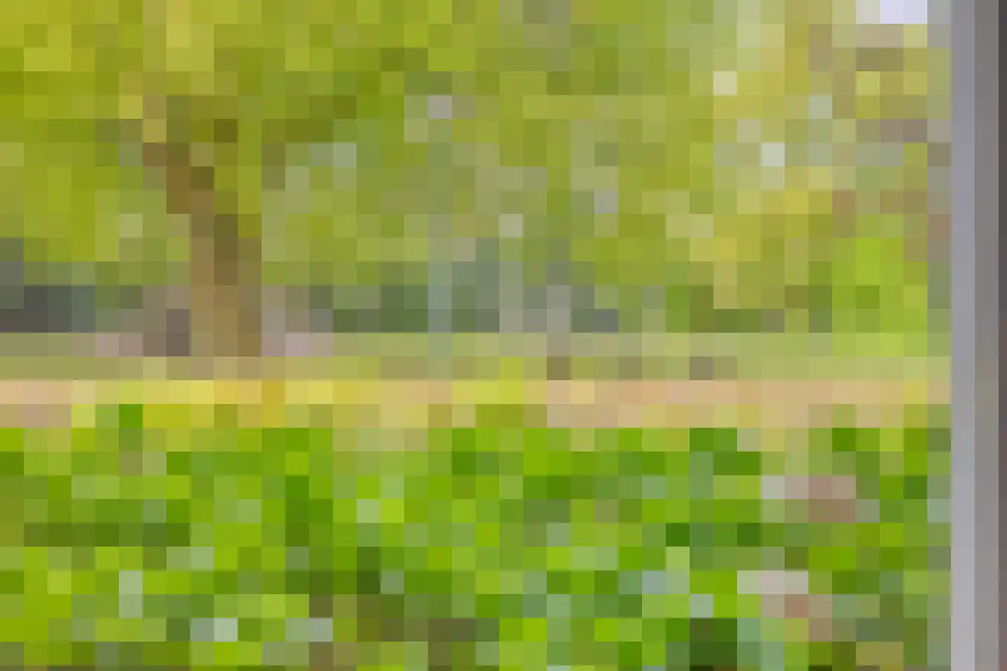 Duifhuis 11 Berlicum thumbnail 47