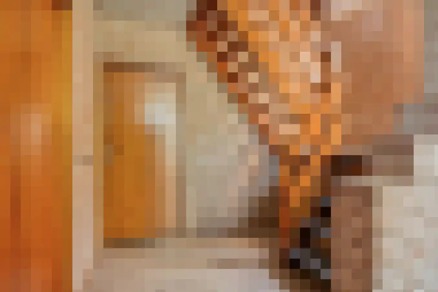 Duifhuis 11 Berlicum thumbnail 7