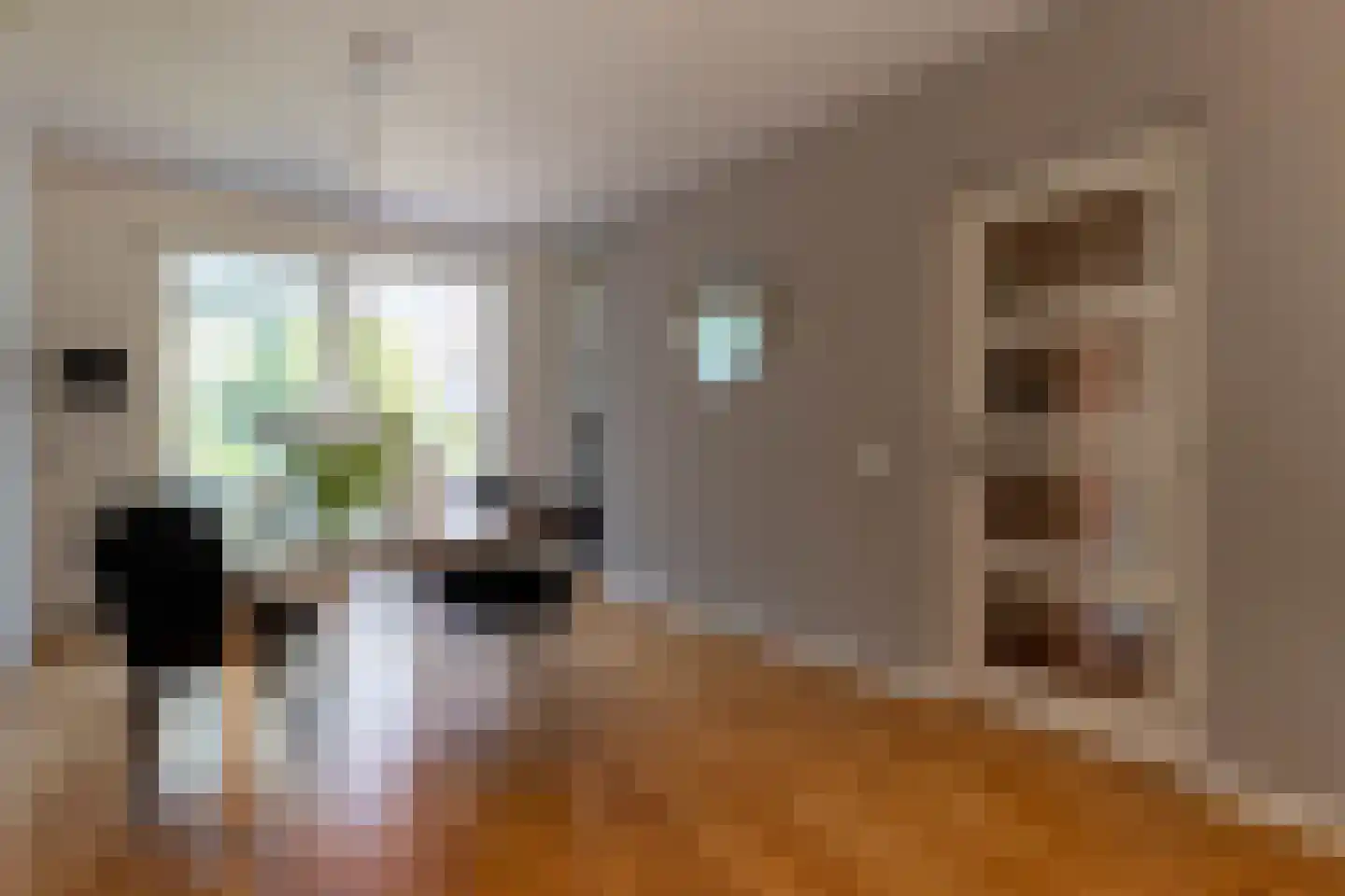 Duifhuis 15 Berlicum thumbnail 19