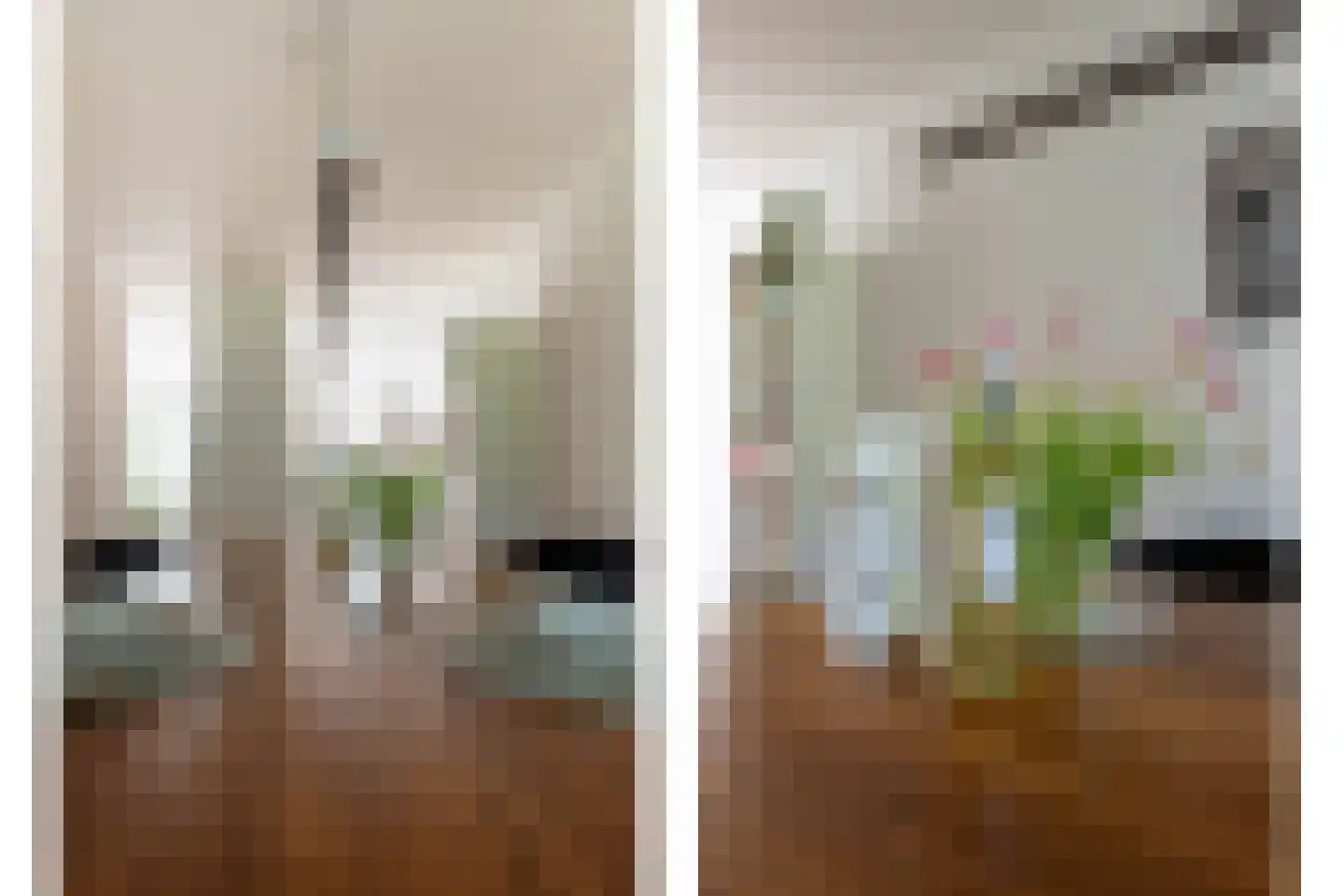 Duifhuis 15 Berlicum thumbnail 22