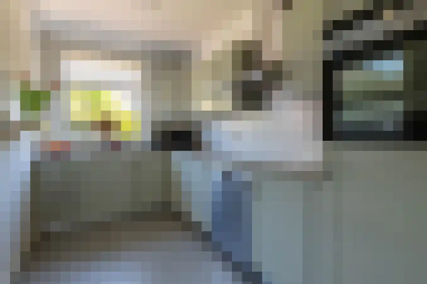 Duifhuis 15 Berlicum thumbnail 23