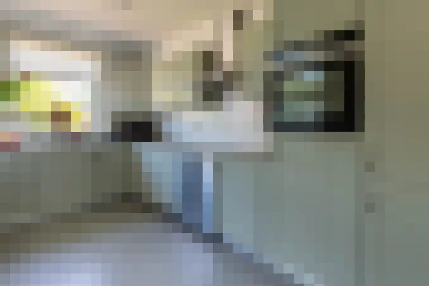 Duifhuis 15 Berlicum thumbnail 24