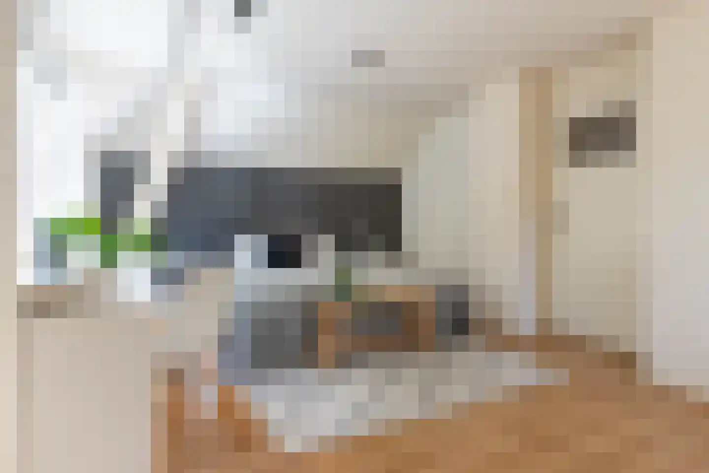 Duifhuis 15 Berlicum thumbnail 31