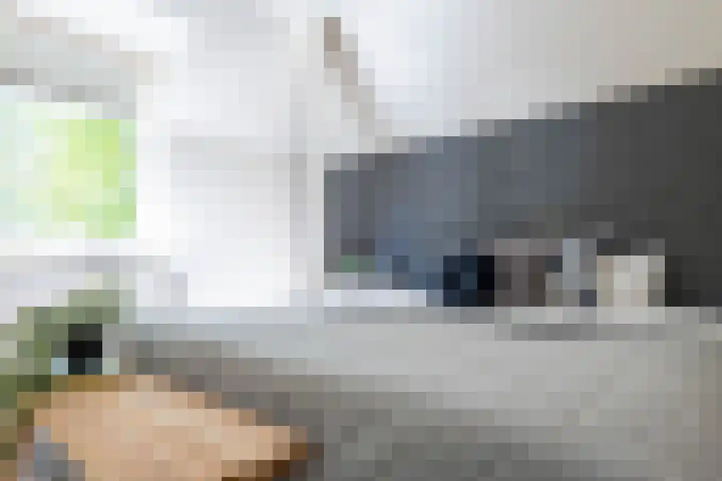Duifhuis 15 Berlicum thumbnail 33
