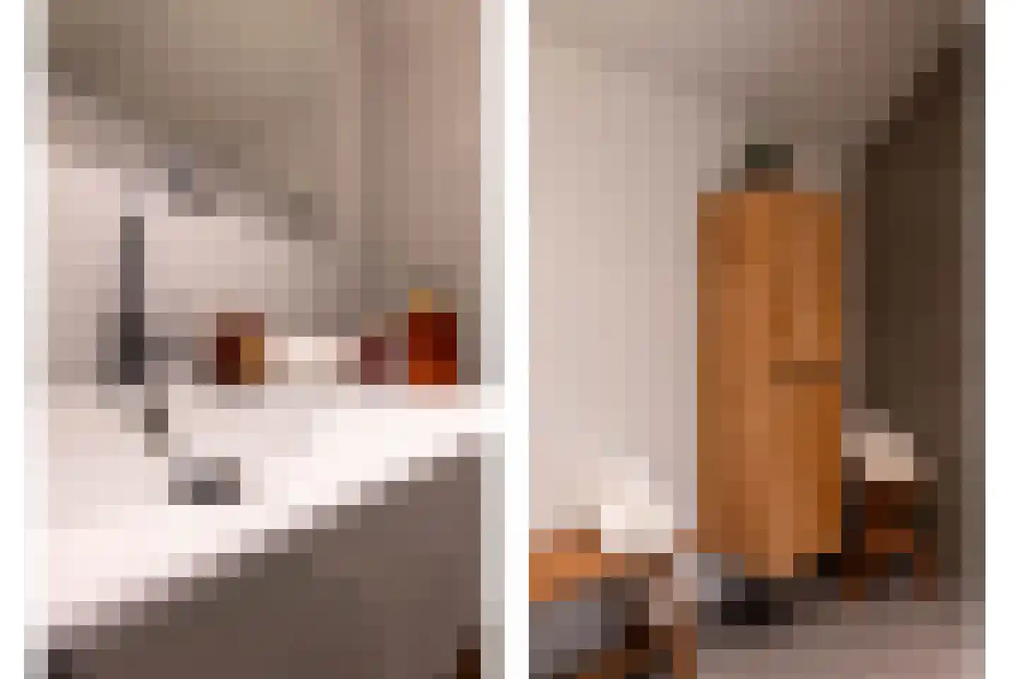 Duifhuis 15 Berlicum thumbnail 36