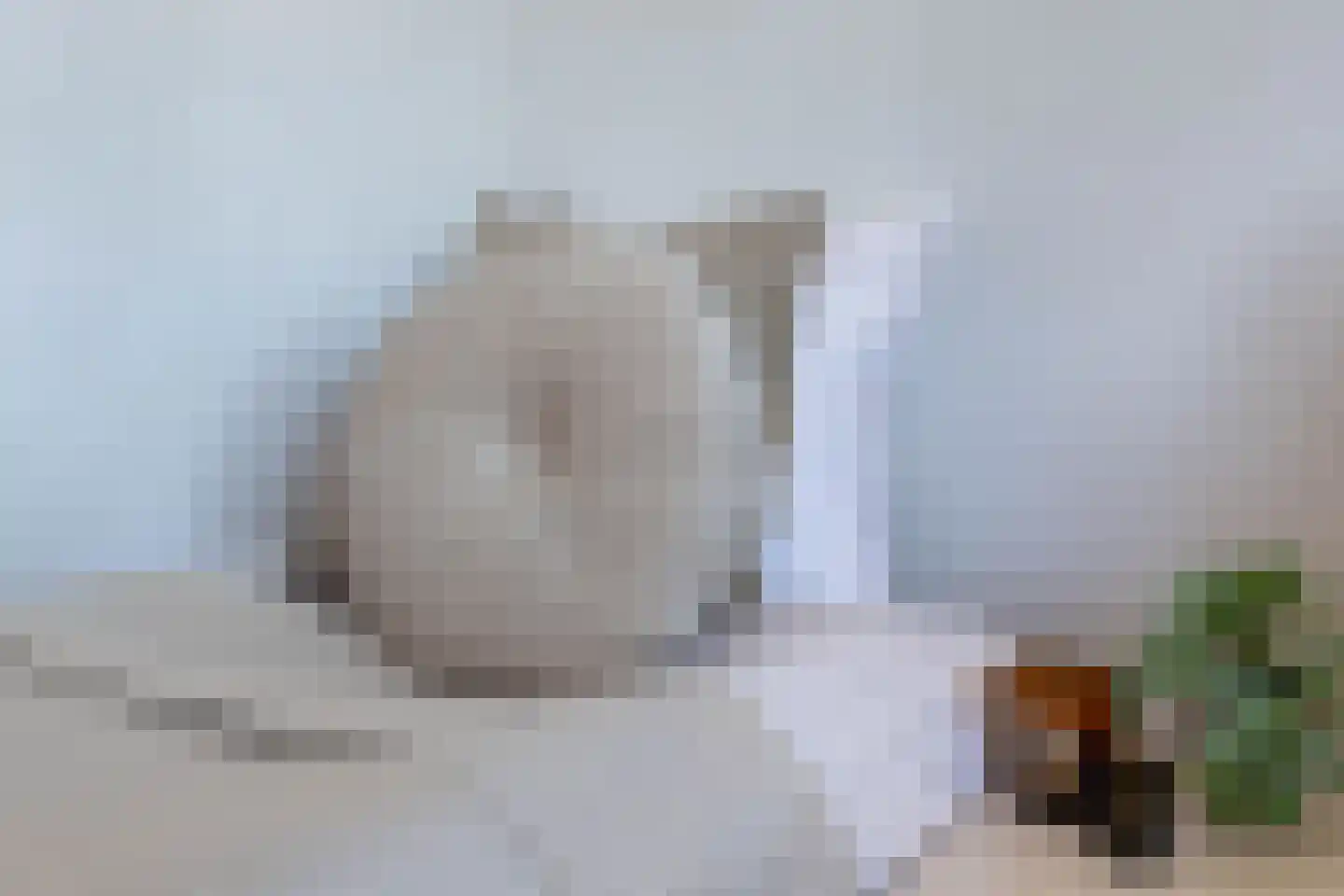 Duifhuis 15 Berlicum thumbnail 39