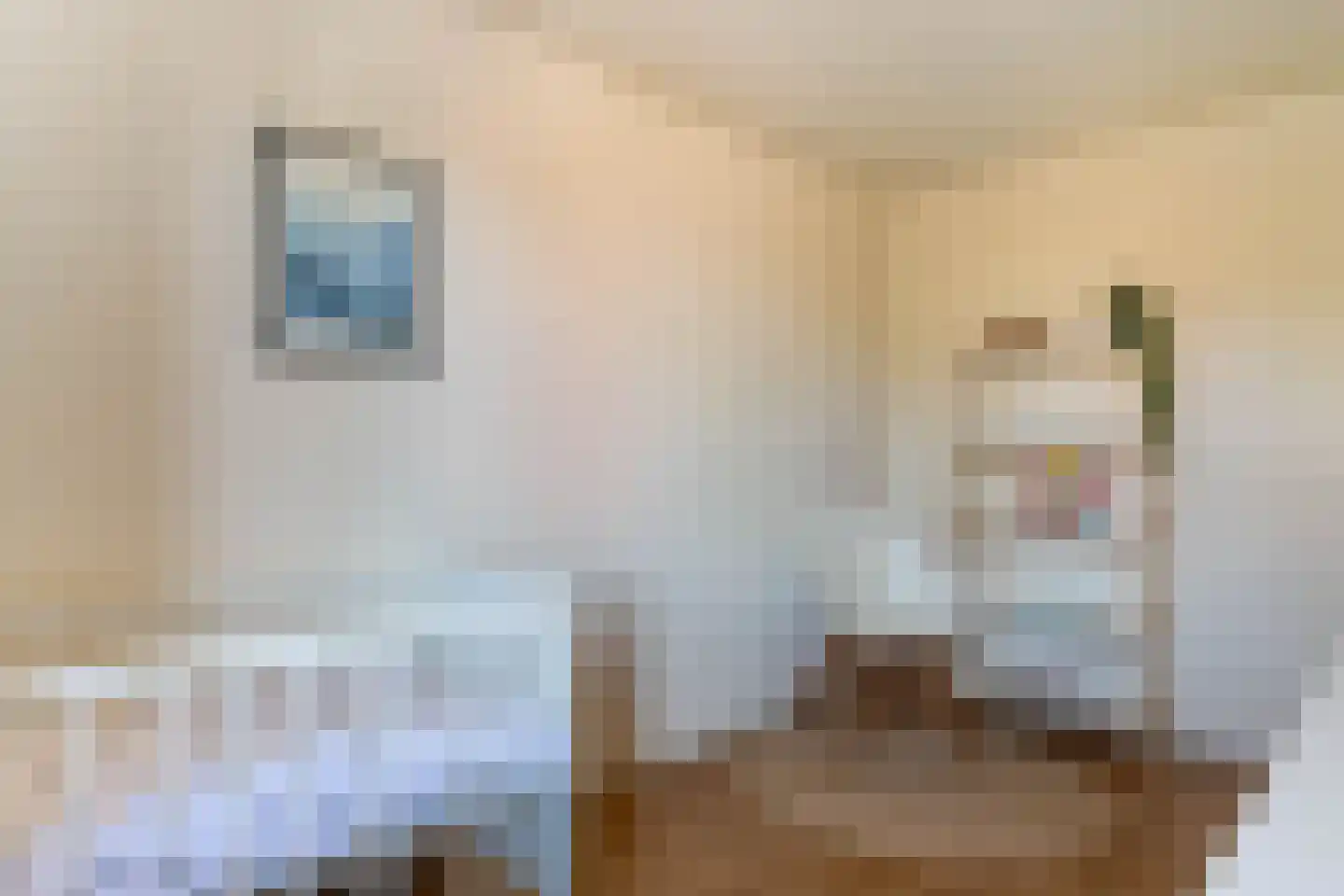Duifhuis 15 Berlicum thumbnail 41