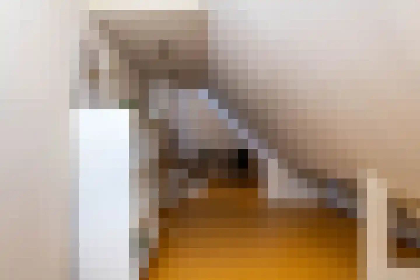 Duifhuis 15 Berlicum thumbnail 42