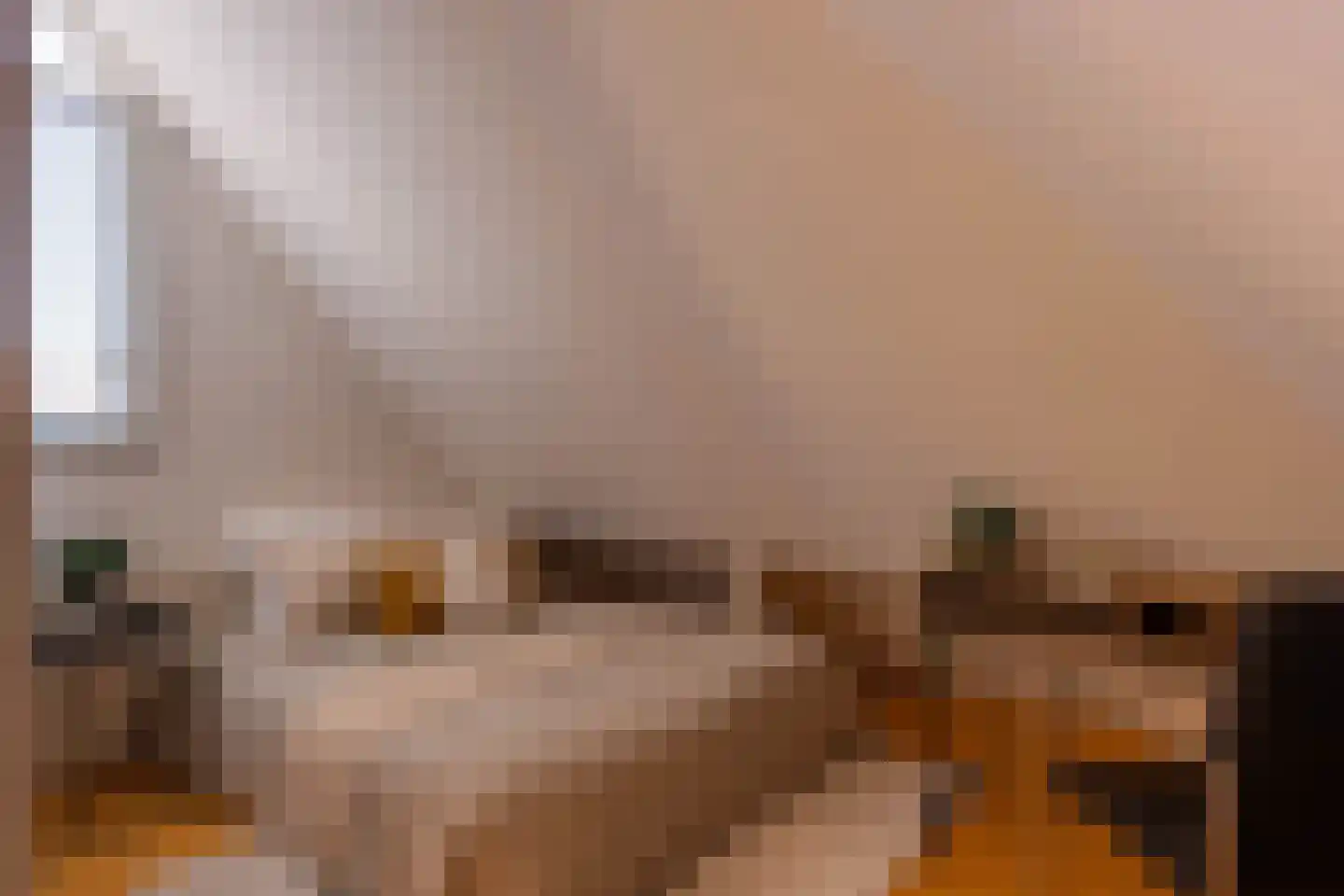 Duifhuis 15 Berlicum thumbnail 43