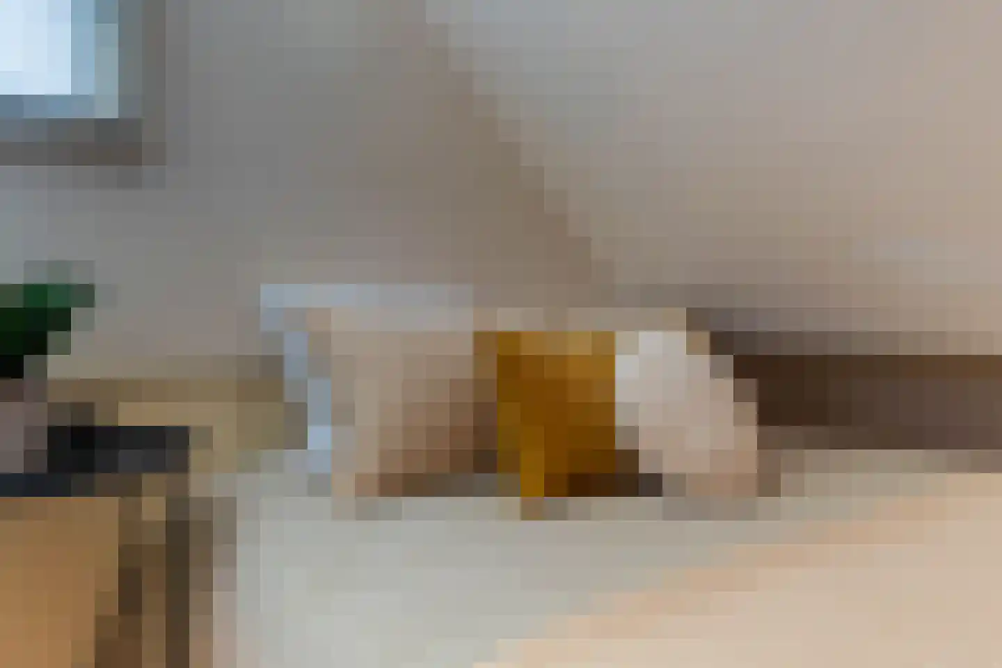 Duifhuis 15 Berlicum thumbnail 44