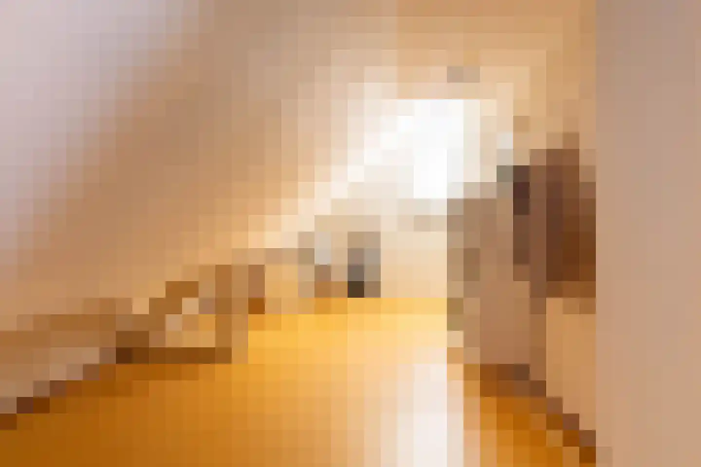 Duifhuis 15 Berlicum thumbnail 45