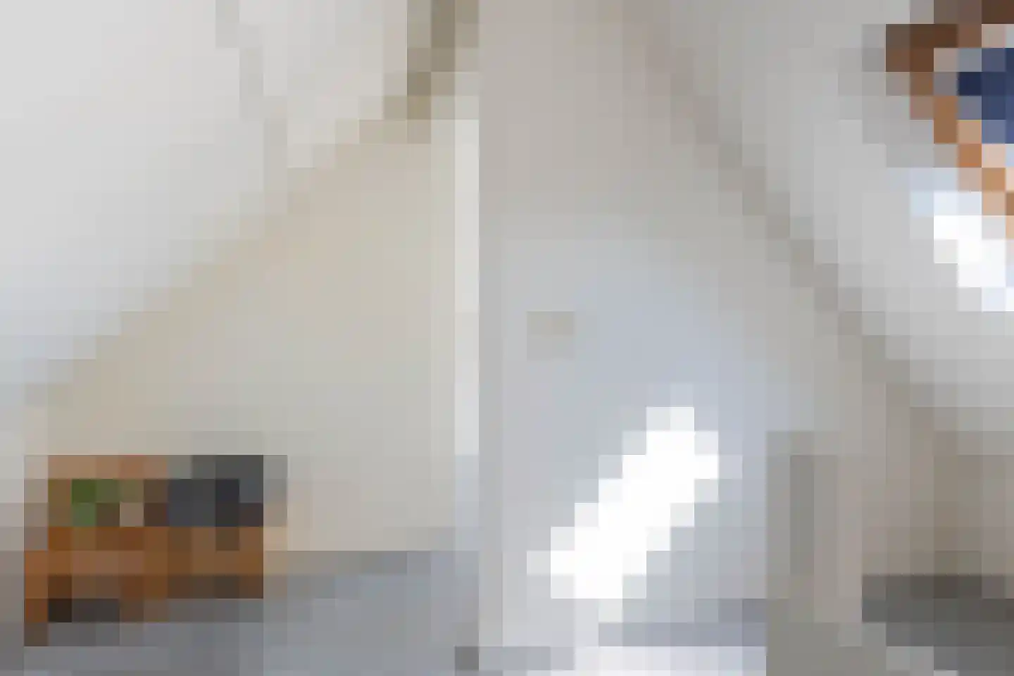 Duifhuis 15 Berlicum thumbnail 46