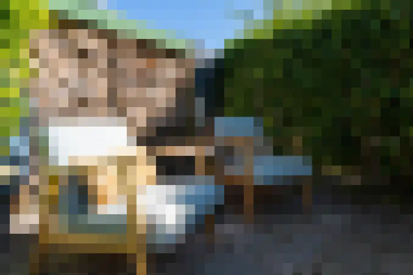 Duifhuis 15 Berlicum thumbnail 54