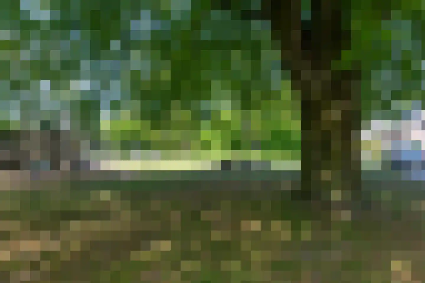 Duifhuis 15 Berlicum thumbnail 57