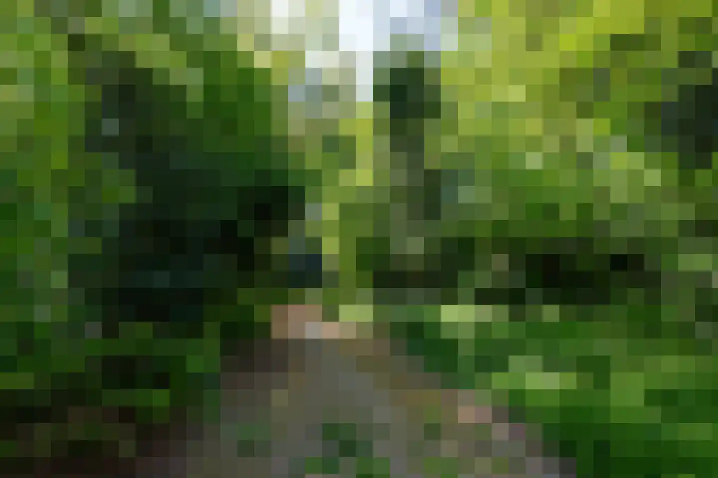 Duifhuis 15 Berlicum thumbnail 58