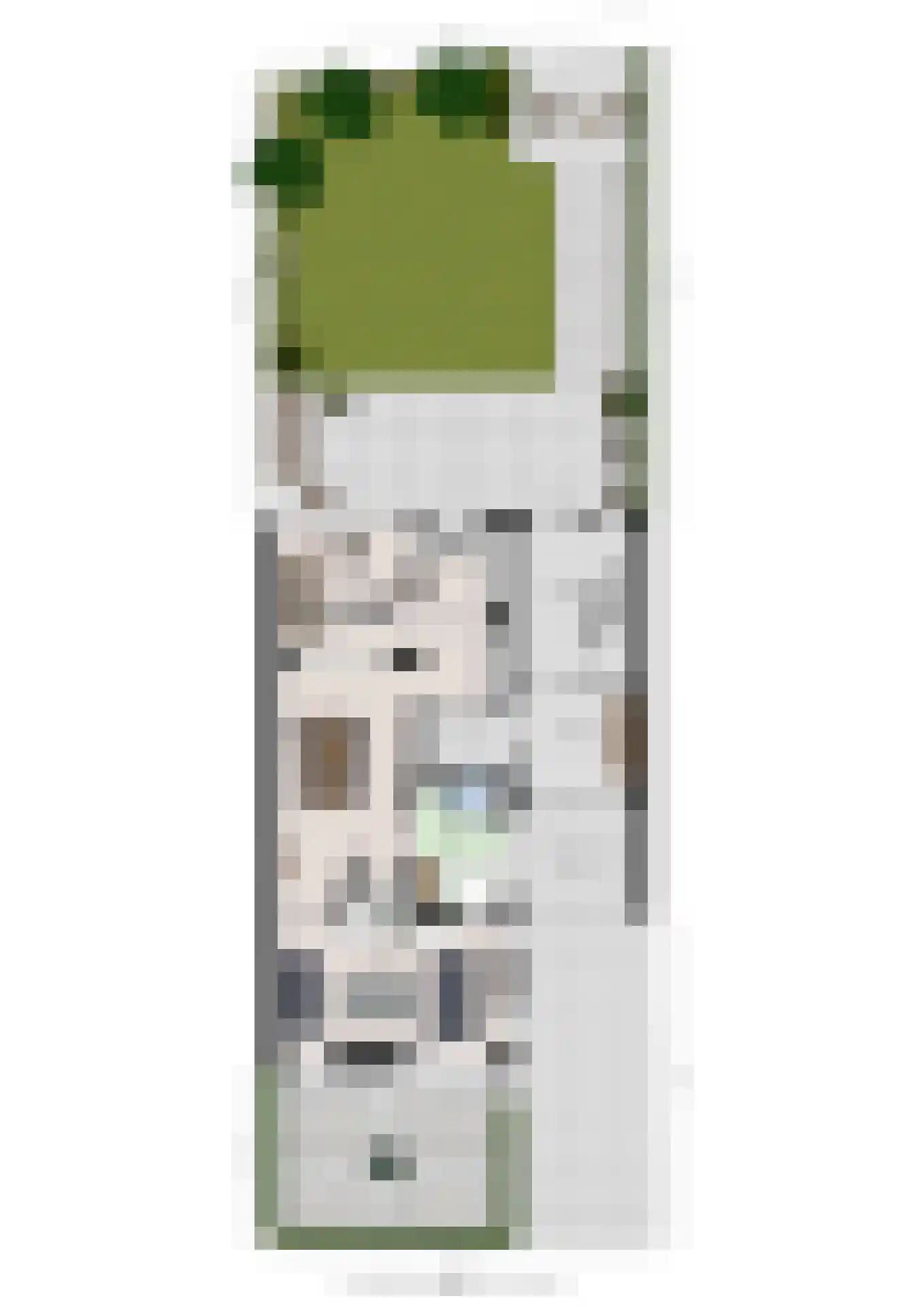 Duifhuis 15 Berlicum thumbnail 59