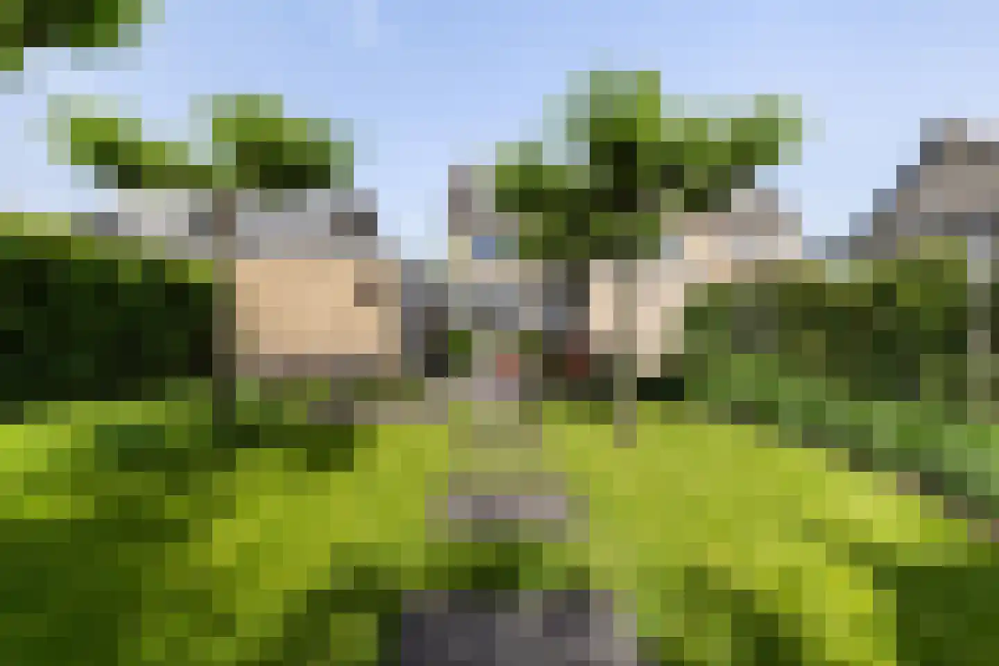Duifhuis 24 Nijkerk thumbnail 22