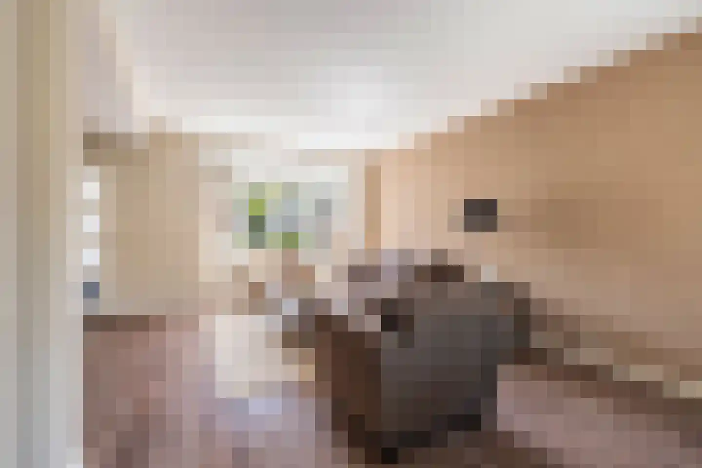 Duifhuis 24 Nijkerk thumbnail 9