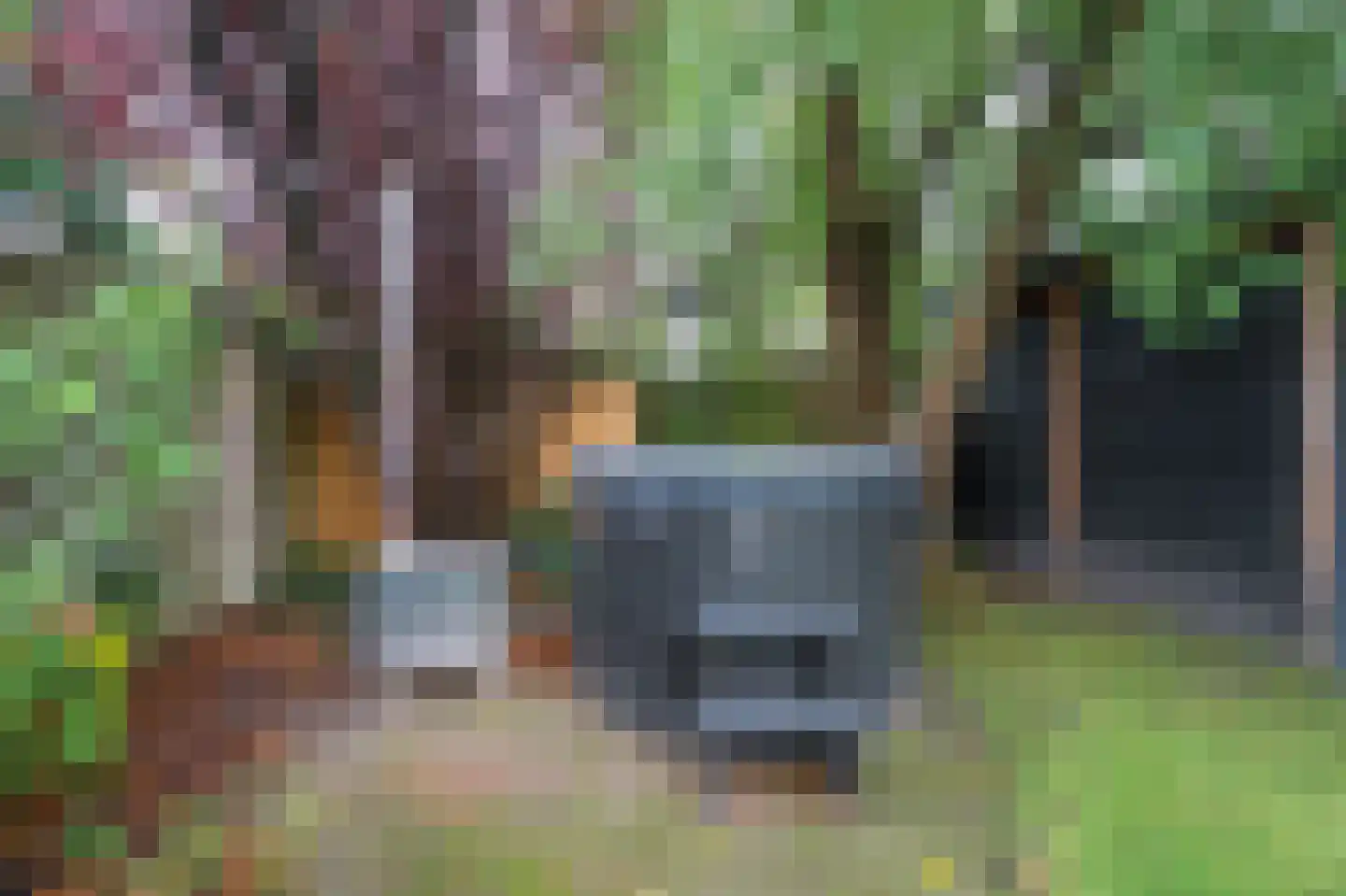 Duifhuis 28 Nijkerk thumbnail 31