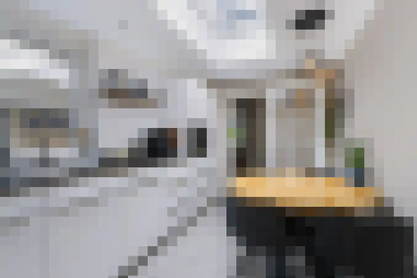 Duifhuis 28 Nijkerk thumbnail 7