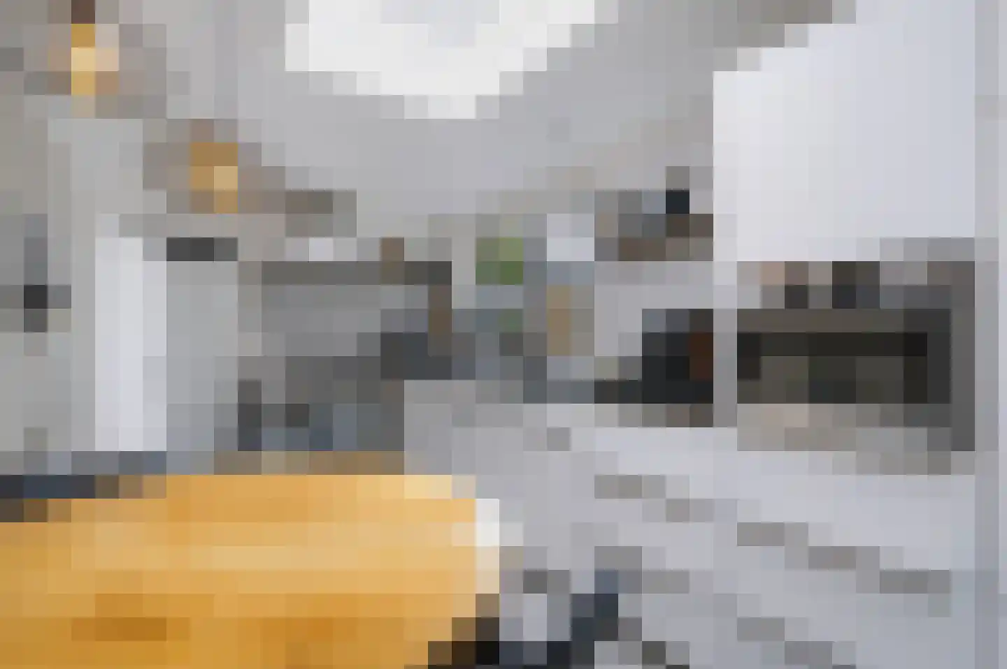 Duifhuis 28 Nijkerk thumbnail 8