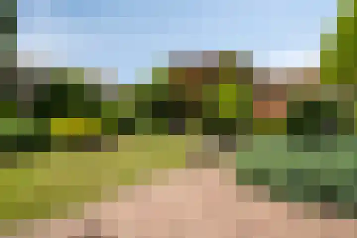 Duifhuisweg 18 Oisterwijk thumbnail 28