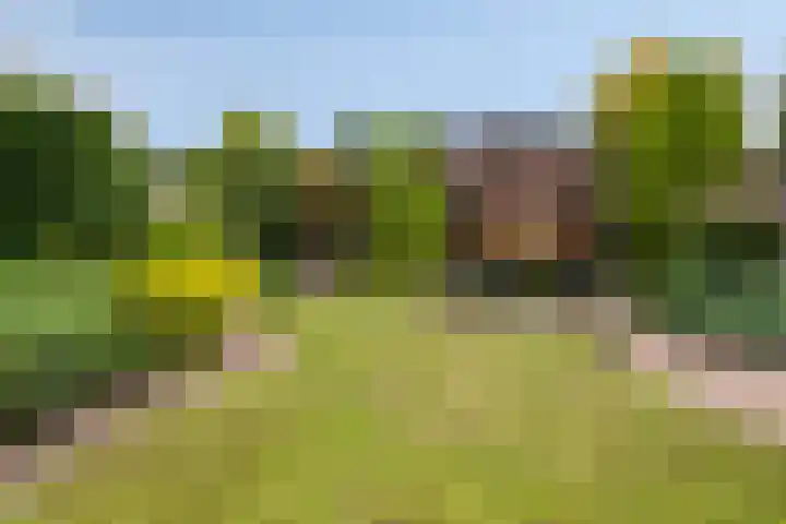Duifhuisweg 18 Oisterwijk thumbnail 29