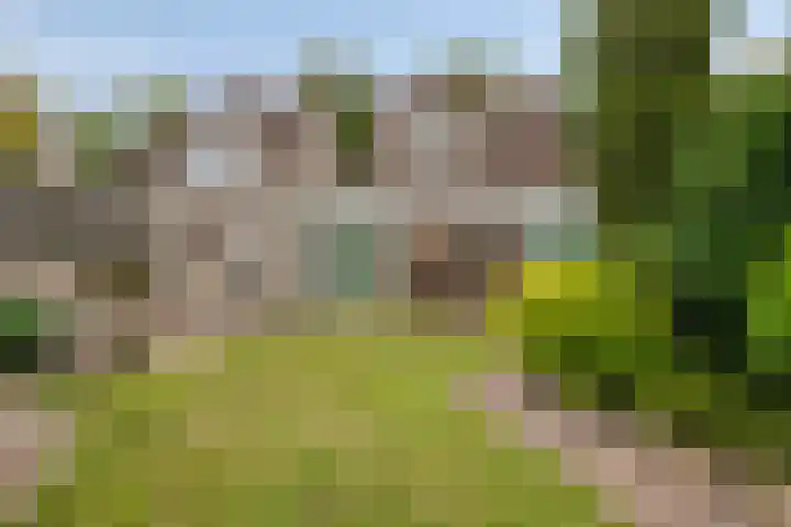 Duifhuisweg 18 Oisterwijk thumbnail 30