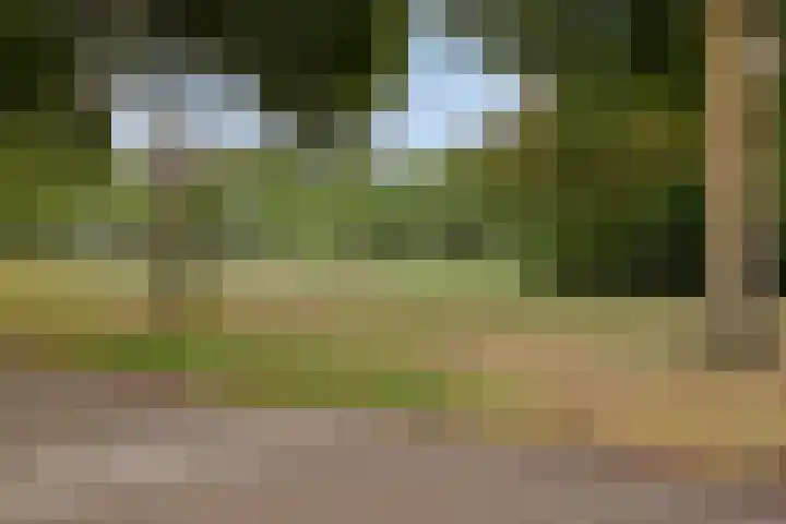 Duifhuisweg 18 Oisterwijk thumbnail 33