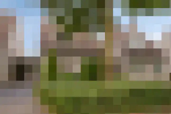 Duifhuisweg 18 Oisterwijk thumbnail 34