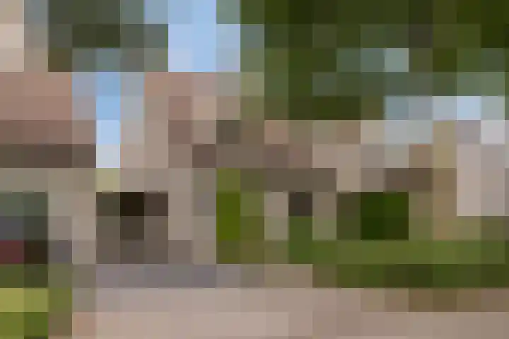 Duifhuisweg 18 Oisterwijk thumbnail 35