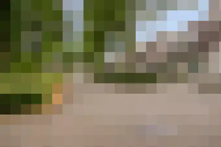 Duifhuisweg 18 Oisterwijk thumbnail 36