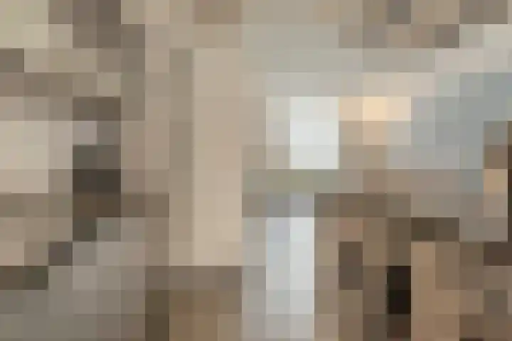 Duifhuisweg 33 Oisterwijk thumbnail 10