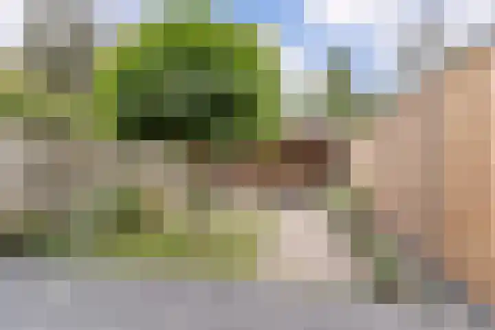 Duifhuisweg 33 Oisterwijk thumbnail 31