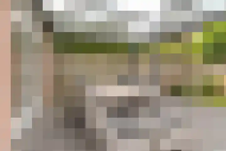 Duifhuisweg 33 Oisterwijk thumbnail 32