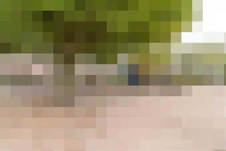 Duifhuisweg 33 Oisterwijk thumbnail 33